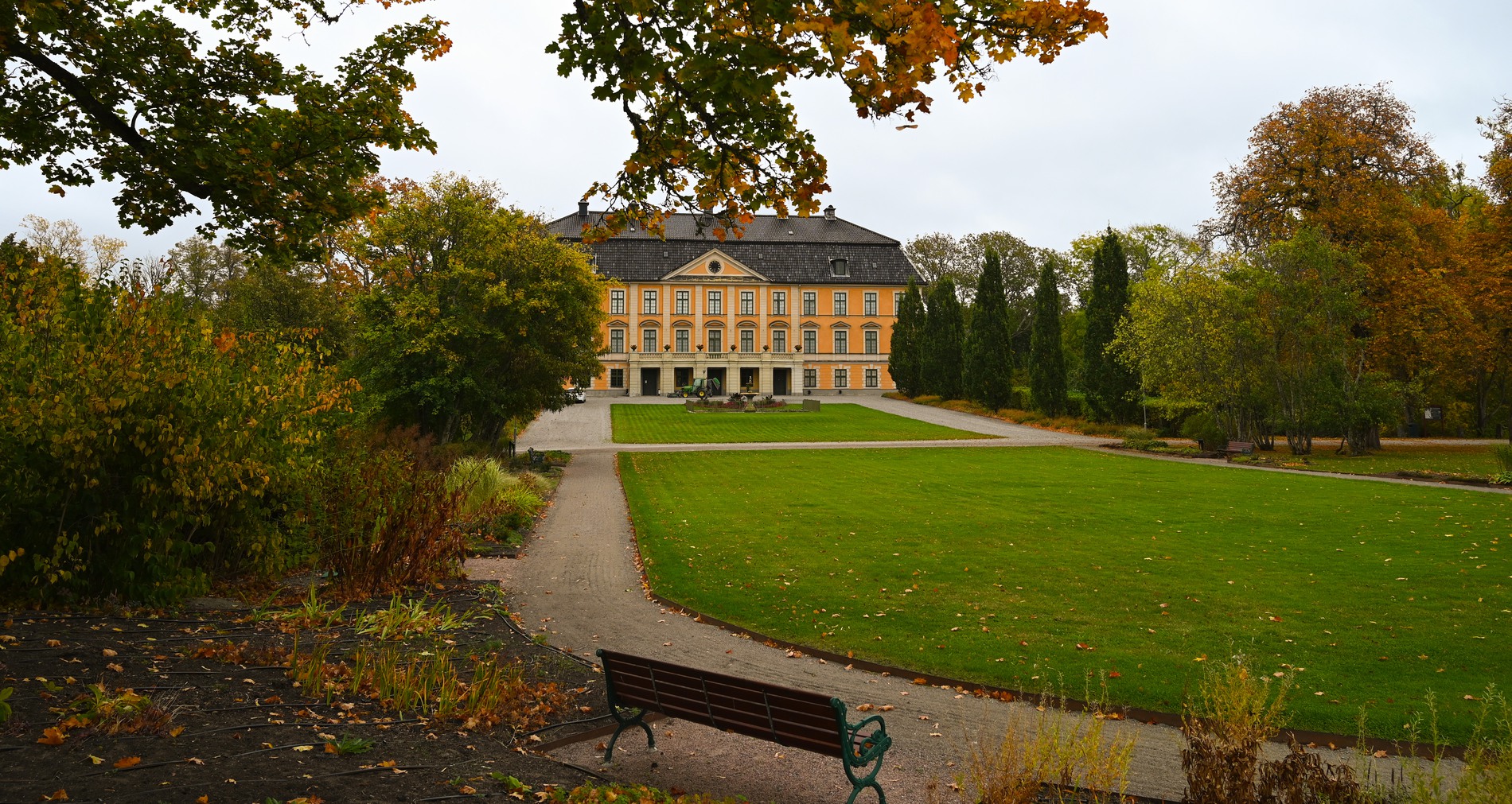 Nynäs slottspark i full grönska. I bakgrunden syns den gula slottsbyggnaden.